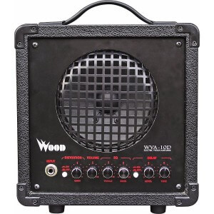 best electric violin amps