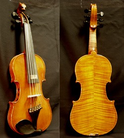 ISI NV - 6 string