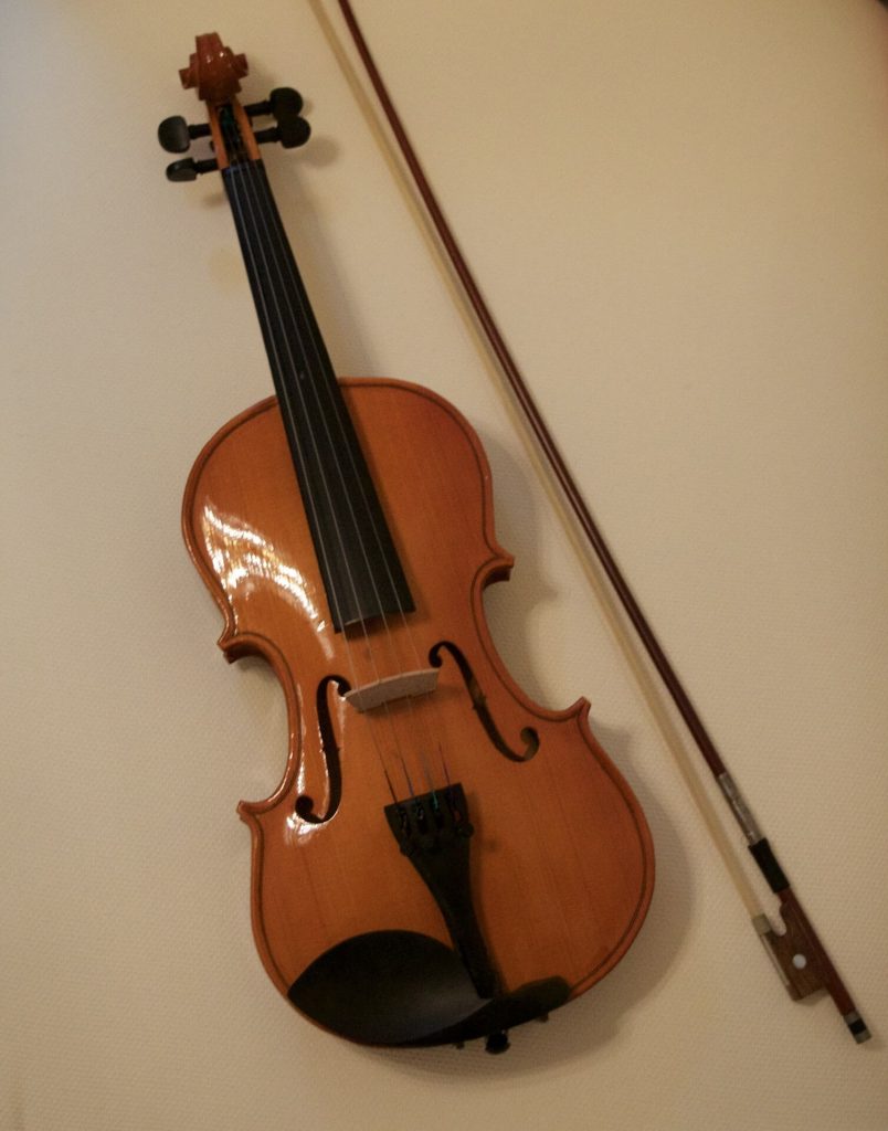 violin bow