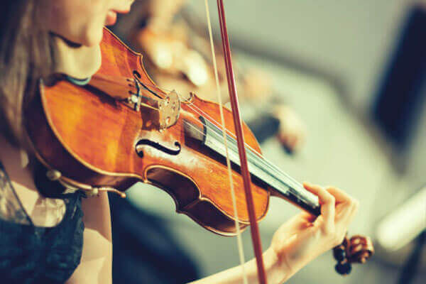 best beginner violin for students - guide