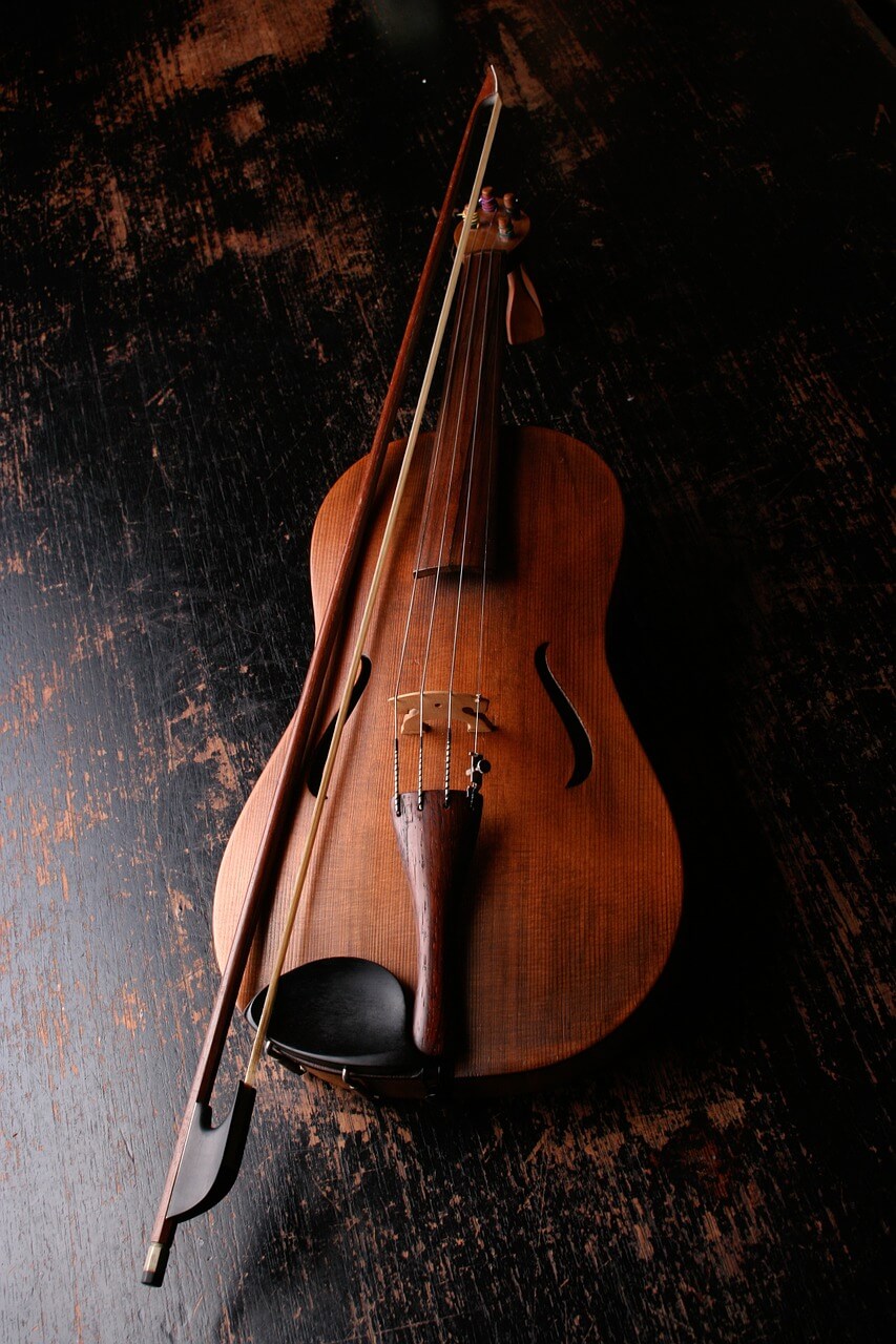 violin