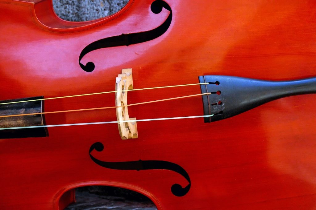 violin